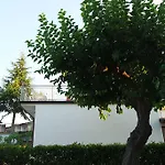Casa Elena Semesterbostad *